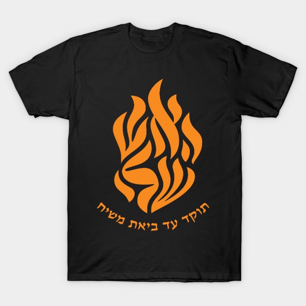 my fire rebbe nachman hebrew T-Shirt by yinon-h